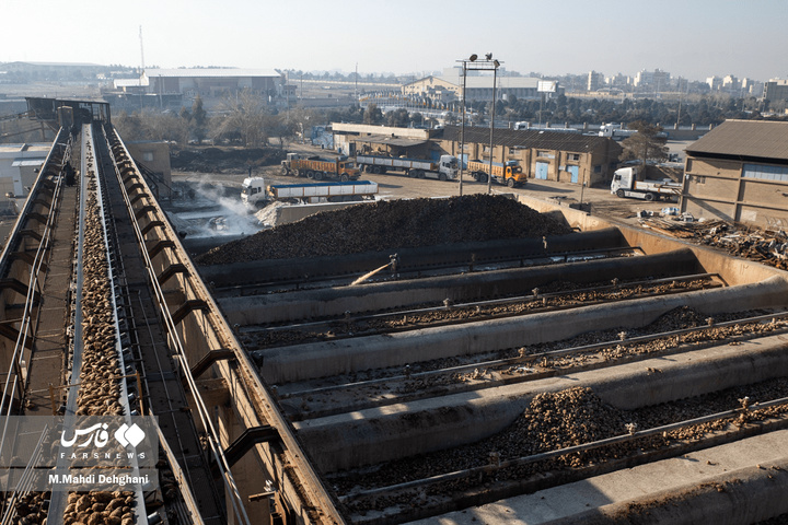 گام‌های ملی در مسیر خوداتکایی تولید شکر