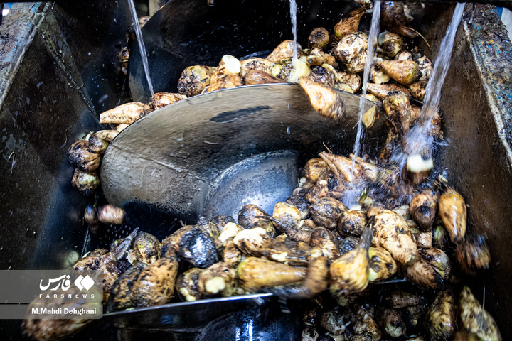 گام‌های ملی در مسیر خوداتکایی تولید شکر