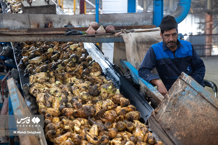 گام‌های ملی در مسیر خوداتکایی تولید شکر