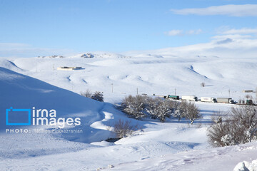 برف و کولاک در کردستان