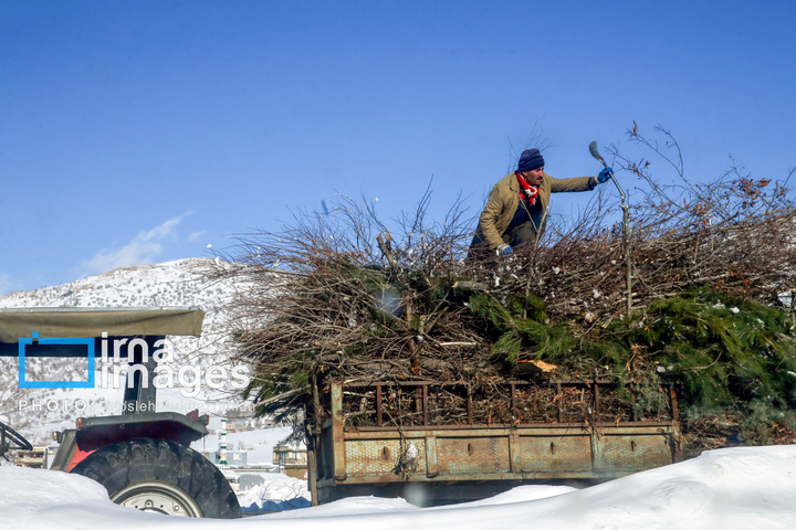 بانه پس از بارش سنگین برف