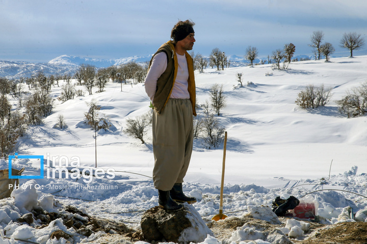 بانه پس از بارش سنگین برف