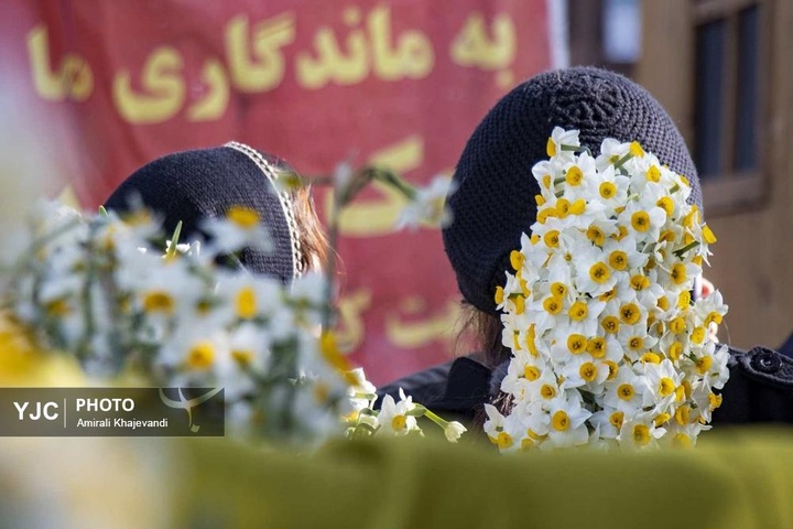 رونق بازار گل نرگس همزمان با فصل برداشت در مازندران