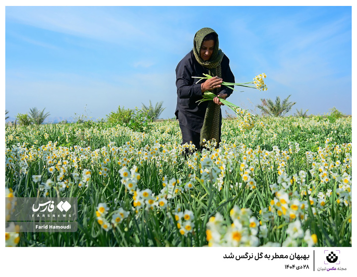 اینجا ایران است؛ روند عادی زندگی جریان دارد