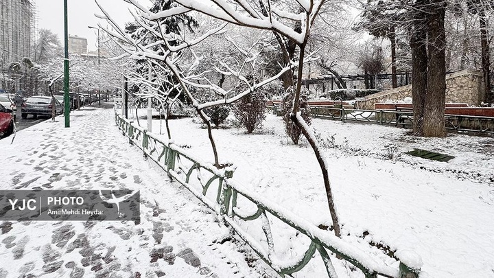 بارش برف در تهران / ۳۰ دی ۱۴۰۴
