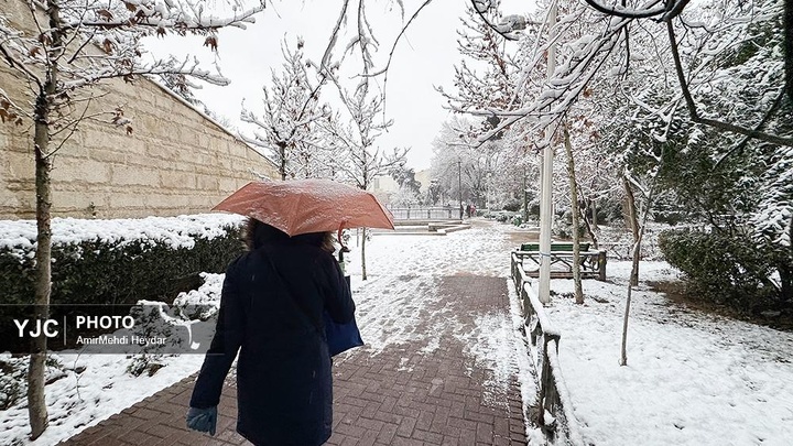 بارش برف در تهران / ۳۰ دی ۱۴۰۴
