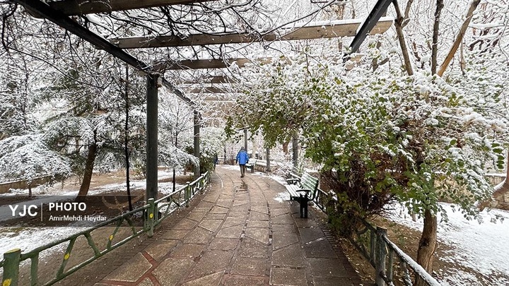 بارش برف در تهران / ۳۰ دی ۱۴۰۴