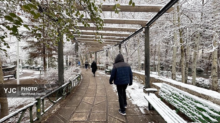 بارش برف در تهران / ۳۰ دی ۱۴۰۴