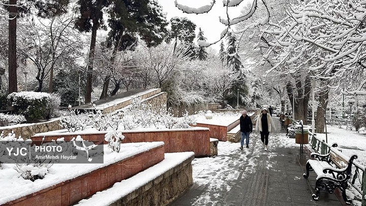 بارش برف در تهران / ۳۰ دی ۱۴۰۴