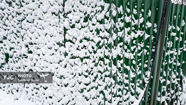 بارش برف در تهران / ۳۰ دی ۱۴۰۴