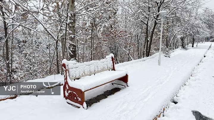 بارش برف در تهران / ۳۰ دی ۱۴۰۴