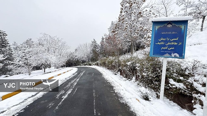 بارش برف در تهران / ۳۰ دی ۱۴۰۴