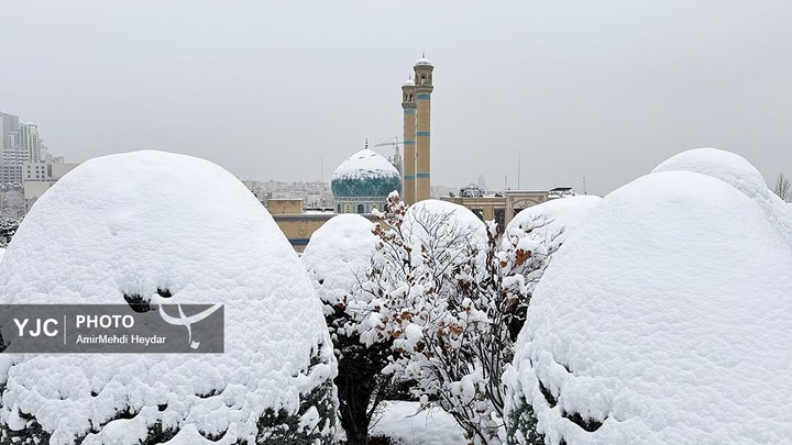 بارش برف در تهران / ۳۰ دی ۱۴۰۴