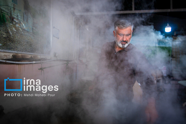 برداشت نیشکر از زمین های استان مازندران