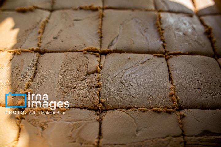 برداشت نیشکر از زمین های استان مازندران