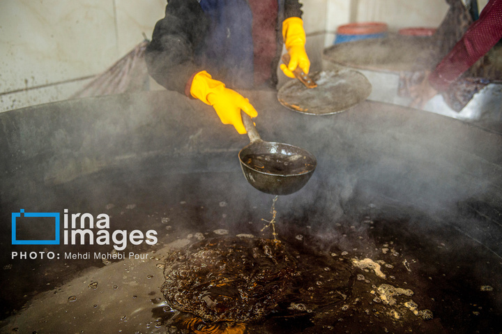 برداشت نیشکر از زمین های استان مازندران