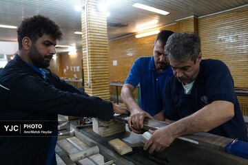 تلاش خستگی‌ناپذیر متخصصان داخلی برای روشنایی ایران