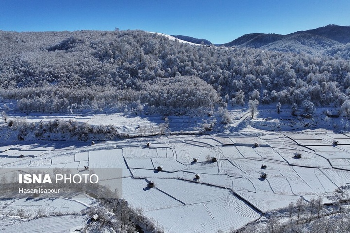 شهر زیراب سوادکوه پایتخت جنگلهای هیرکانی