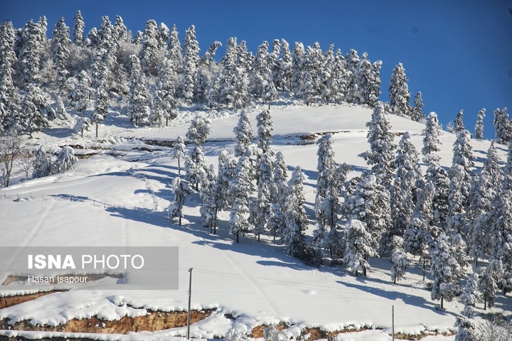 شهر زیراب سوادکوه پایتخت جنگلهای هیرکانی