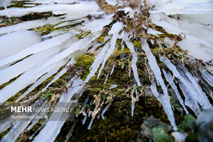 آبشار یخ زده «سردابه» اردبیل