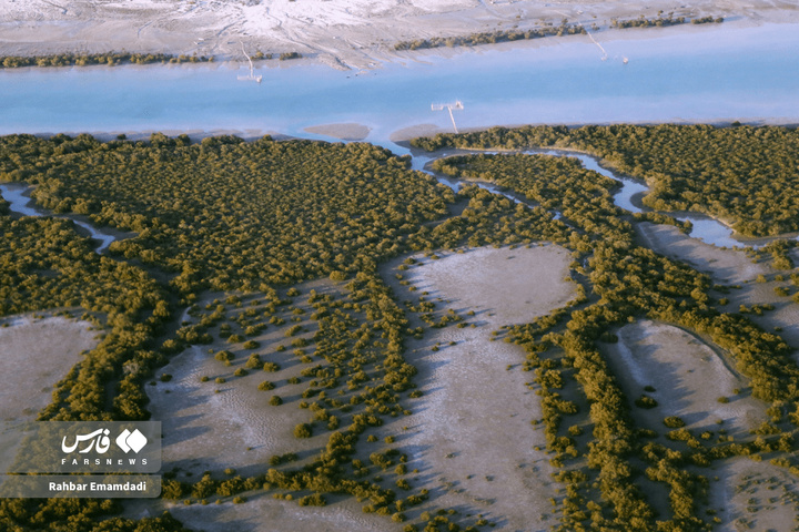 خلیج فارس پاره تن ایران