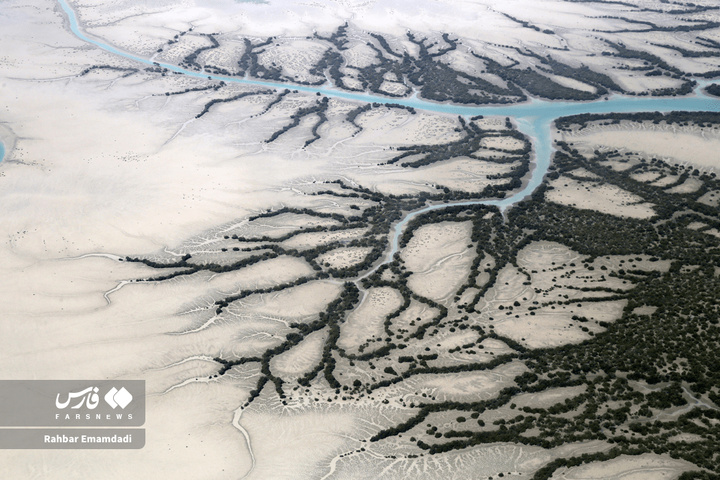 خلیج فارس پاره تن ایران