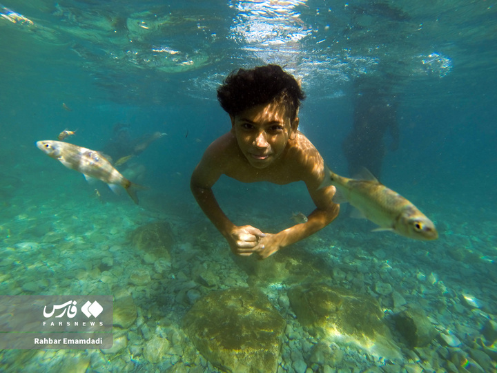 خلیج فارس پاره تن ایران