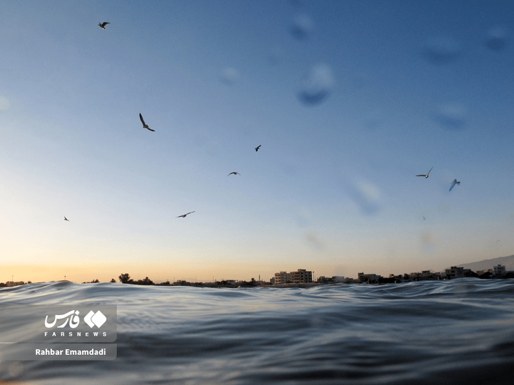 خلیج فارس پاره تن ایران