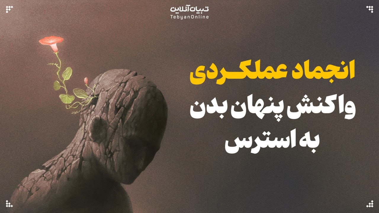 انجماد عملکردی؛ واکنش پنهان بدن به استرس انجماد عملکردی؛ واکنش پنهان بدن به استرس