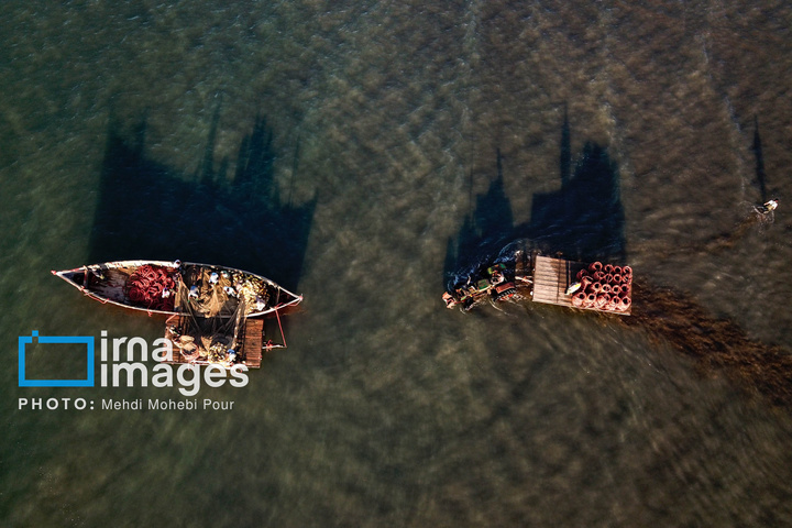 صید ماهی در خزر