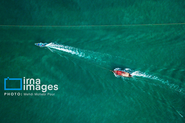 صید ماهی در خزر