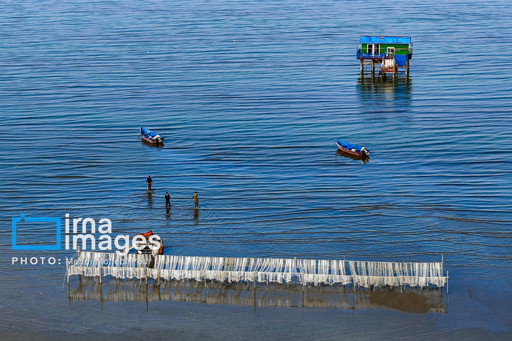 صید ماهی در خزر