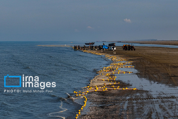 صید ماهی در خزر