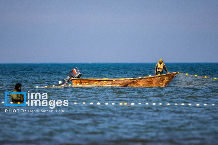 صید ماهی در خزر