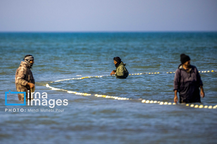 صید ماهی در خزر