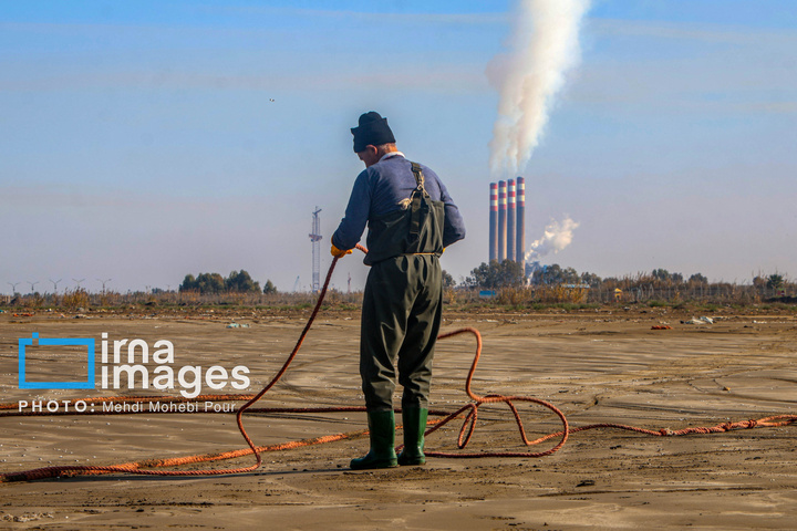 صید ماهی در خزر