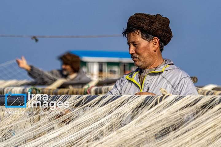 صید ماهی در خزر