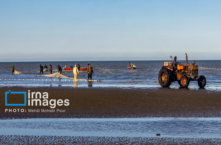 صید ماهی در خزر