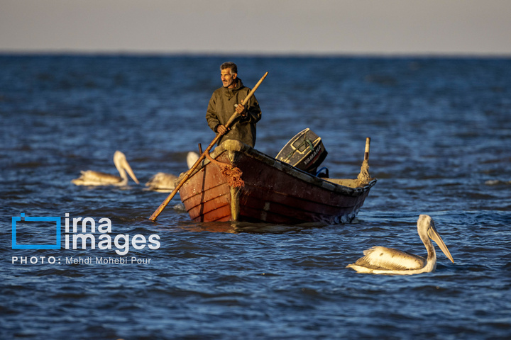 صید ماهی در خزر