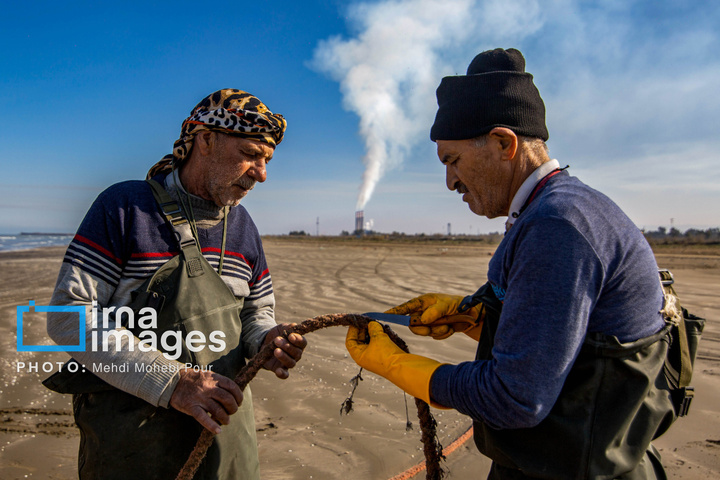 صید ماهی در خزر