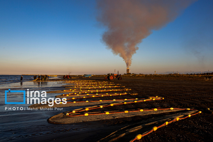 صید ماهی در خزر