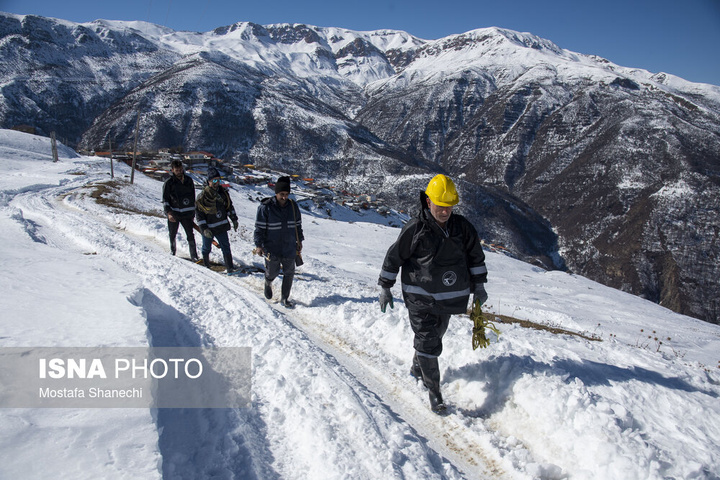 فعالیت "سیم‌بانان" در ارتفاعات برفی بابل