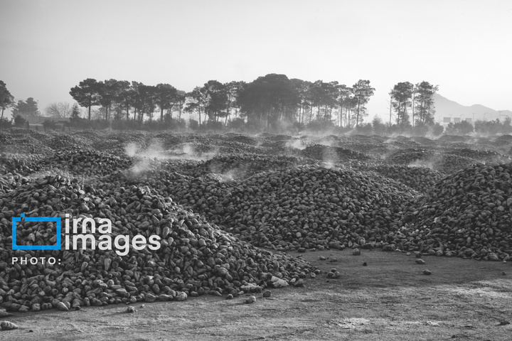 خاطره‌ای شیرین