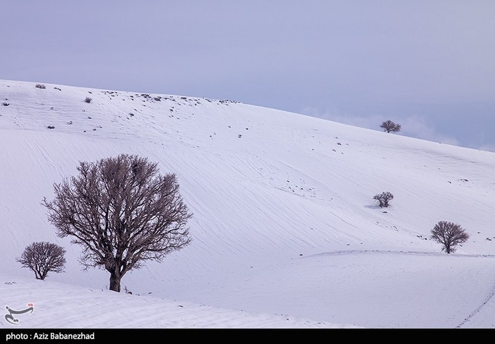 بارش برف در مناطق سردسیر خرم اباد