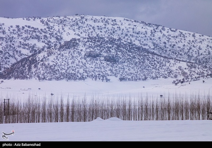 بارش برف در مناطق سردسیر خرم اباد