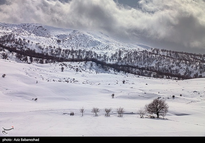 بارش برف در مناطق سردسیر خرم اباد