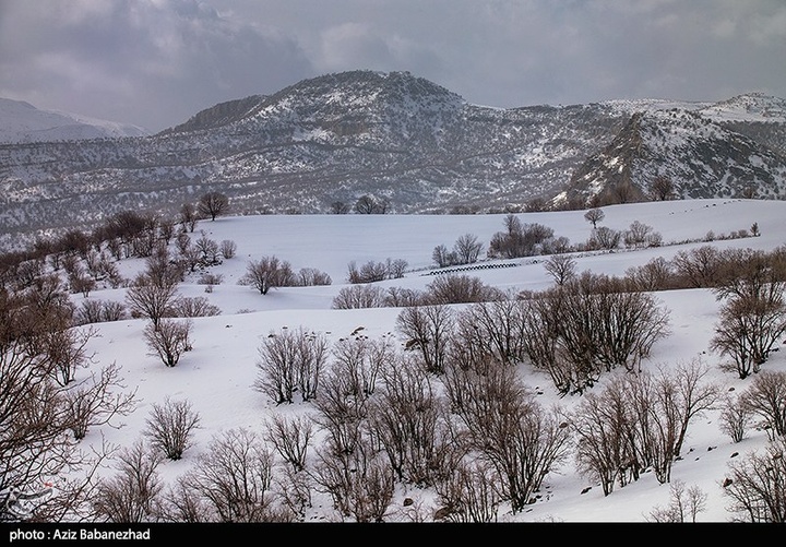 بارش برف در مناطق سردسیر خرم اباد