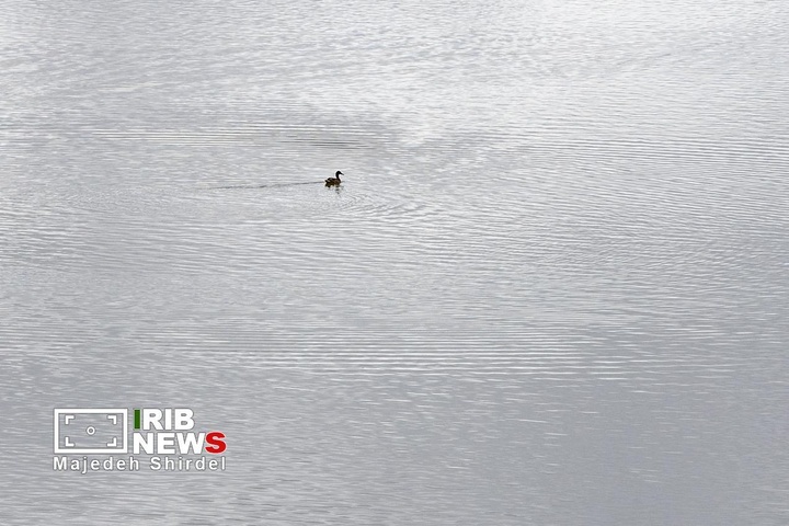 تالاب شیرین‌سو در همدان