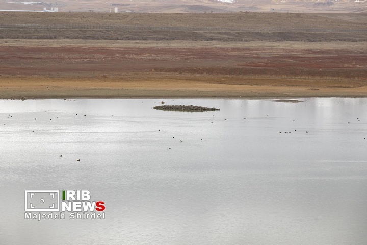 تالاب شیرین‌سو در همدان