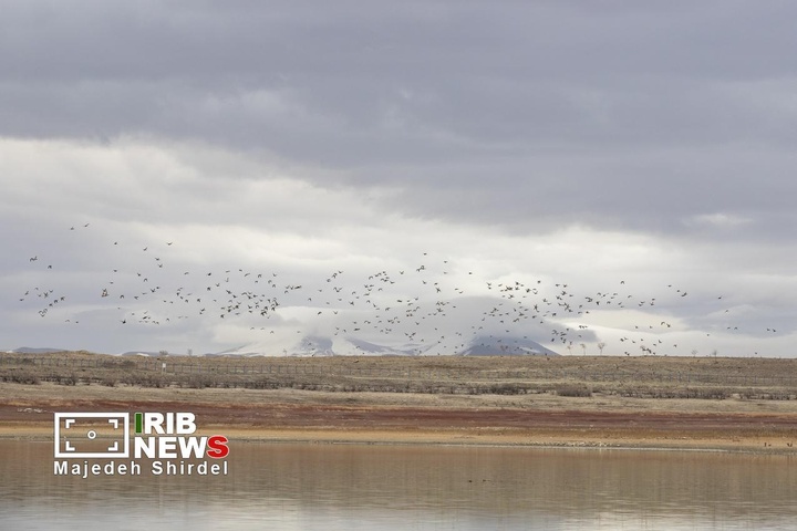 تالاب شیرین‌سو در همدان